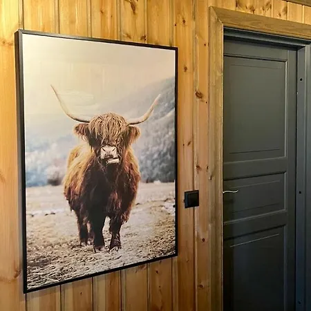 Mountain With Hardangervidda View * Гейло