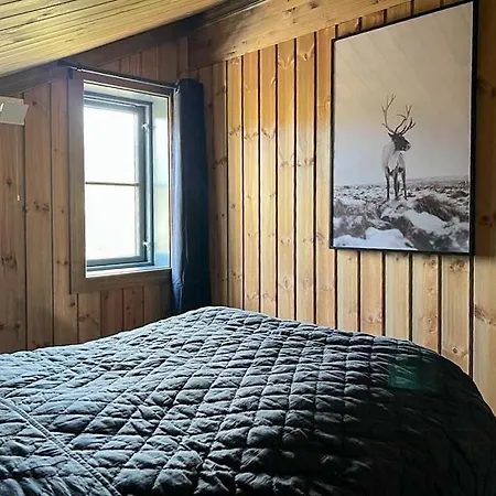 Mountain With Hardangervidda View * Geilo