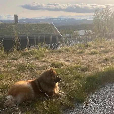 Дом отдыха Mountain With Hardangervidda View
